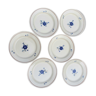 Lot of 6 flat plates in blueberry decor