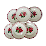 6 flat plates of Digoin Sarreguemines model Saverne