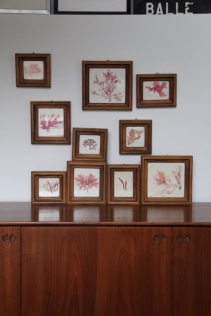 True alguier in walnut frame France 1960