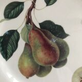 Lot of 6 plates botanical decoration