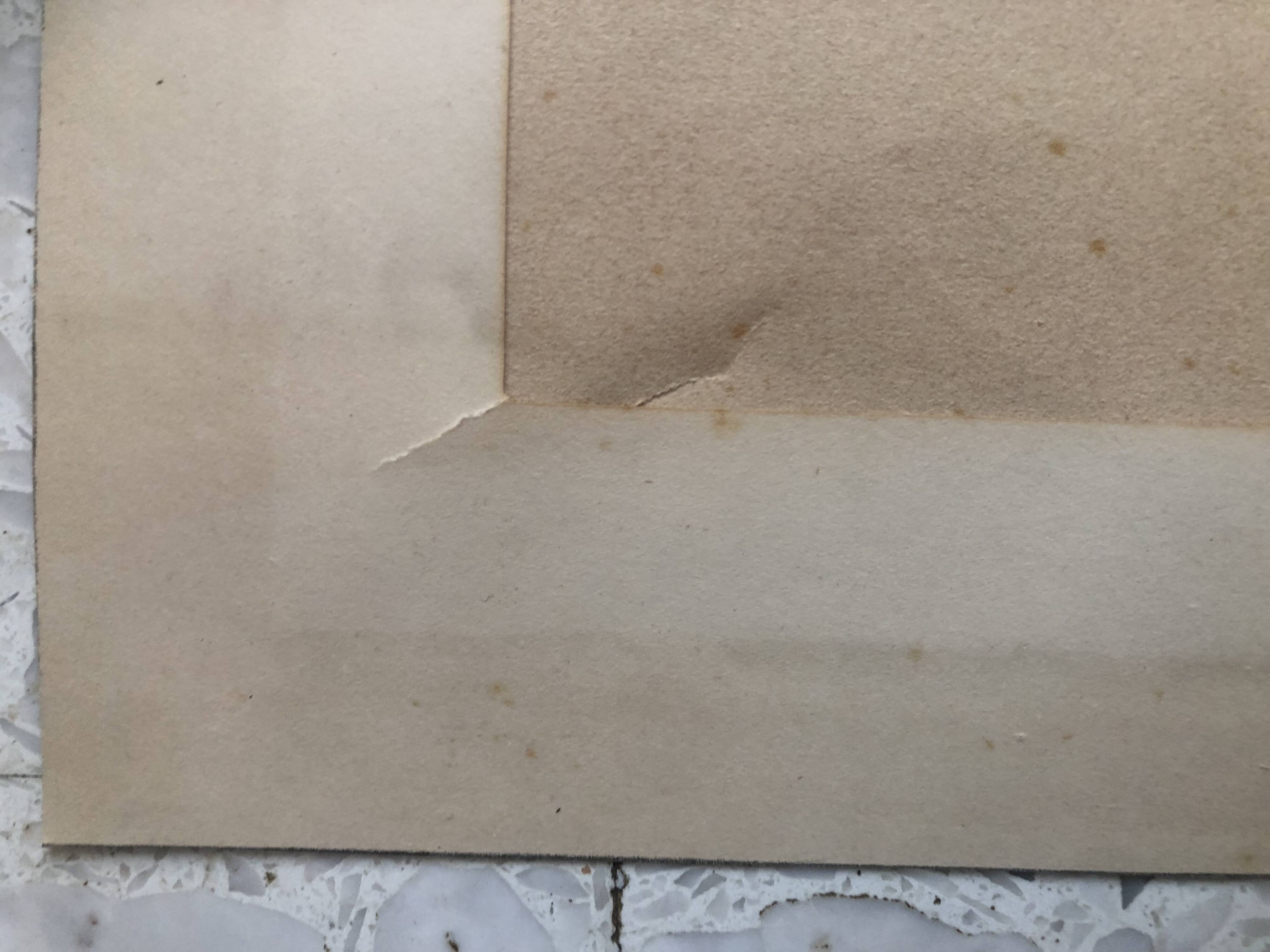 Pencil and pastel drawing xix paper: naked woman lying on a sheet, signed adam (hugo?), fine arts