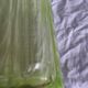 Siphon