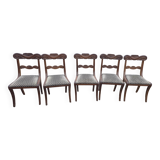 Regency style mahogany chairs x 5