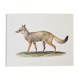 Bestiary plates from the Natural History Museum The fox