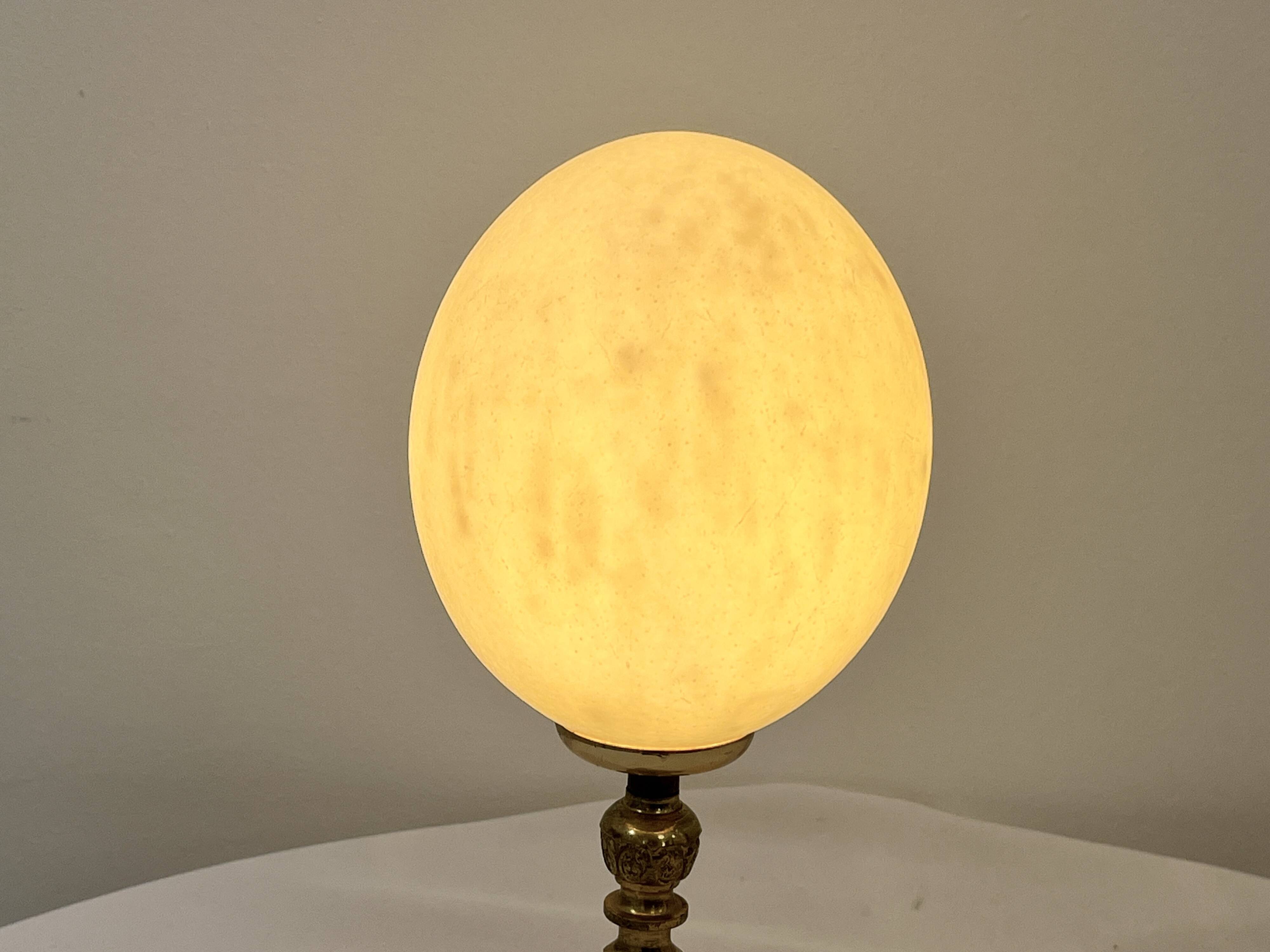 Ostrich egg on bronze stand old cabinet of curiosities lamp
