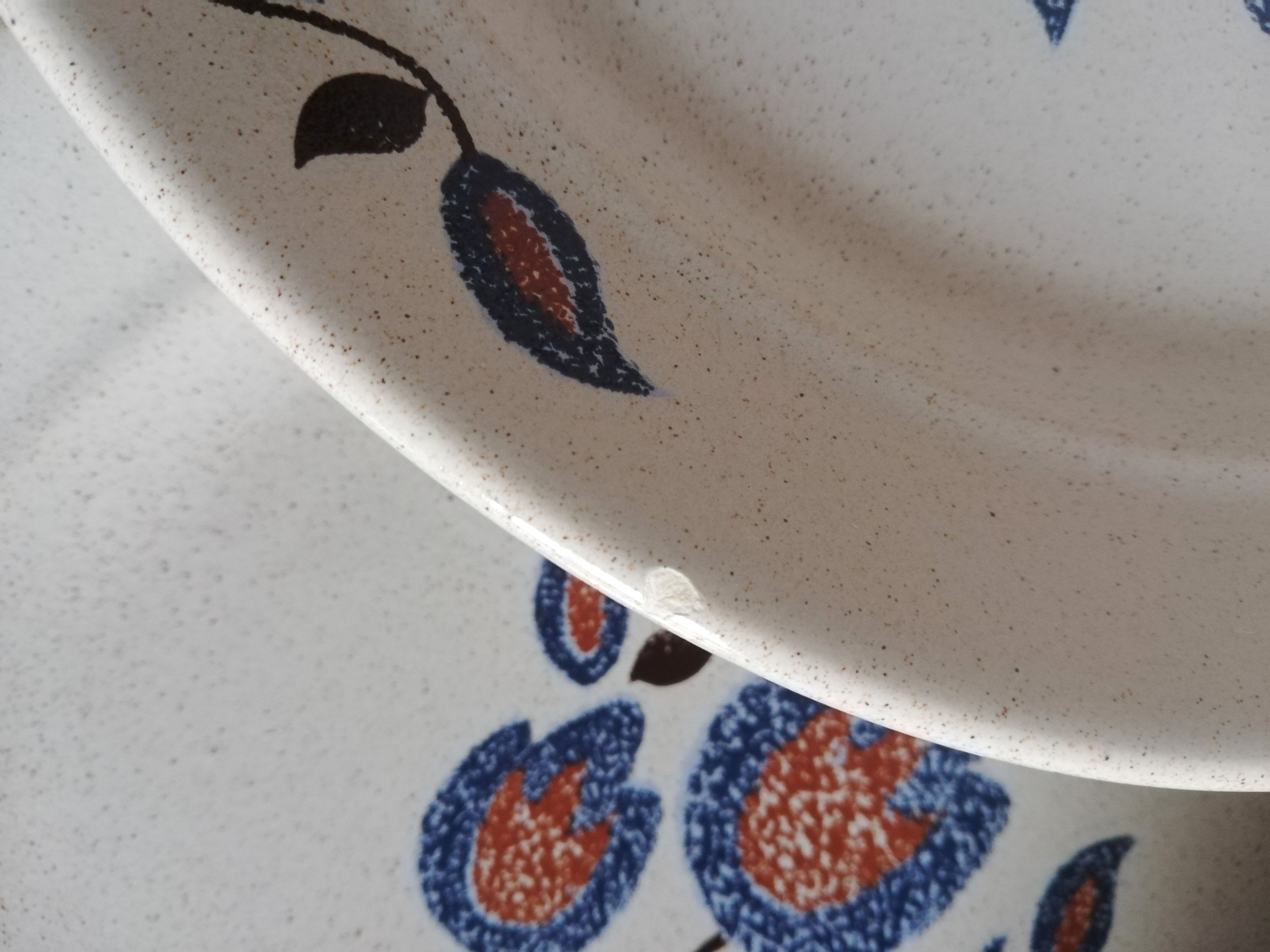 Serving 20 flat plates Sologne de Saint Amand