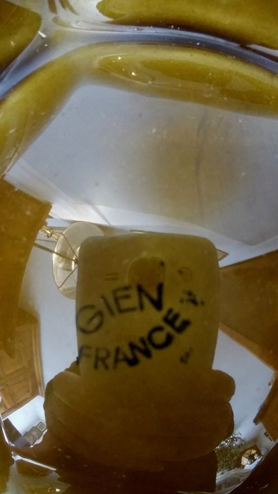 Gien earthenware oyster plate