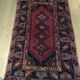 Oriental wool rug