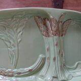 Dish and drainer for asparagus slip