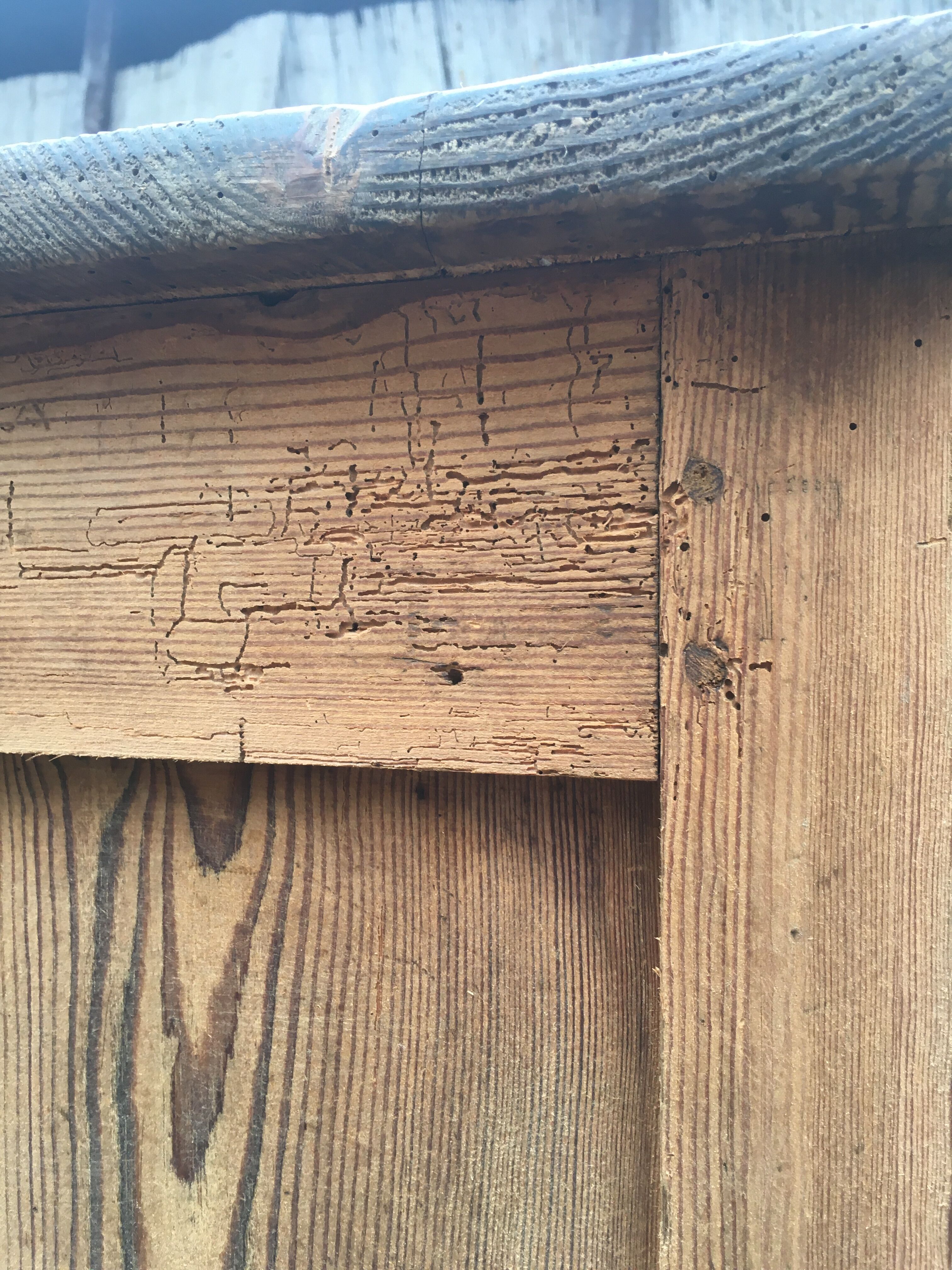 Wooden cabinet with interior doors