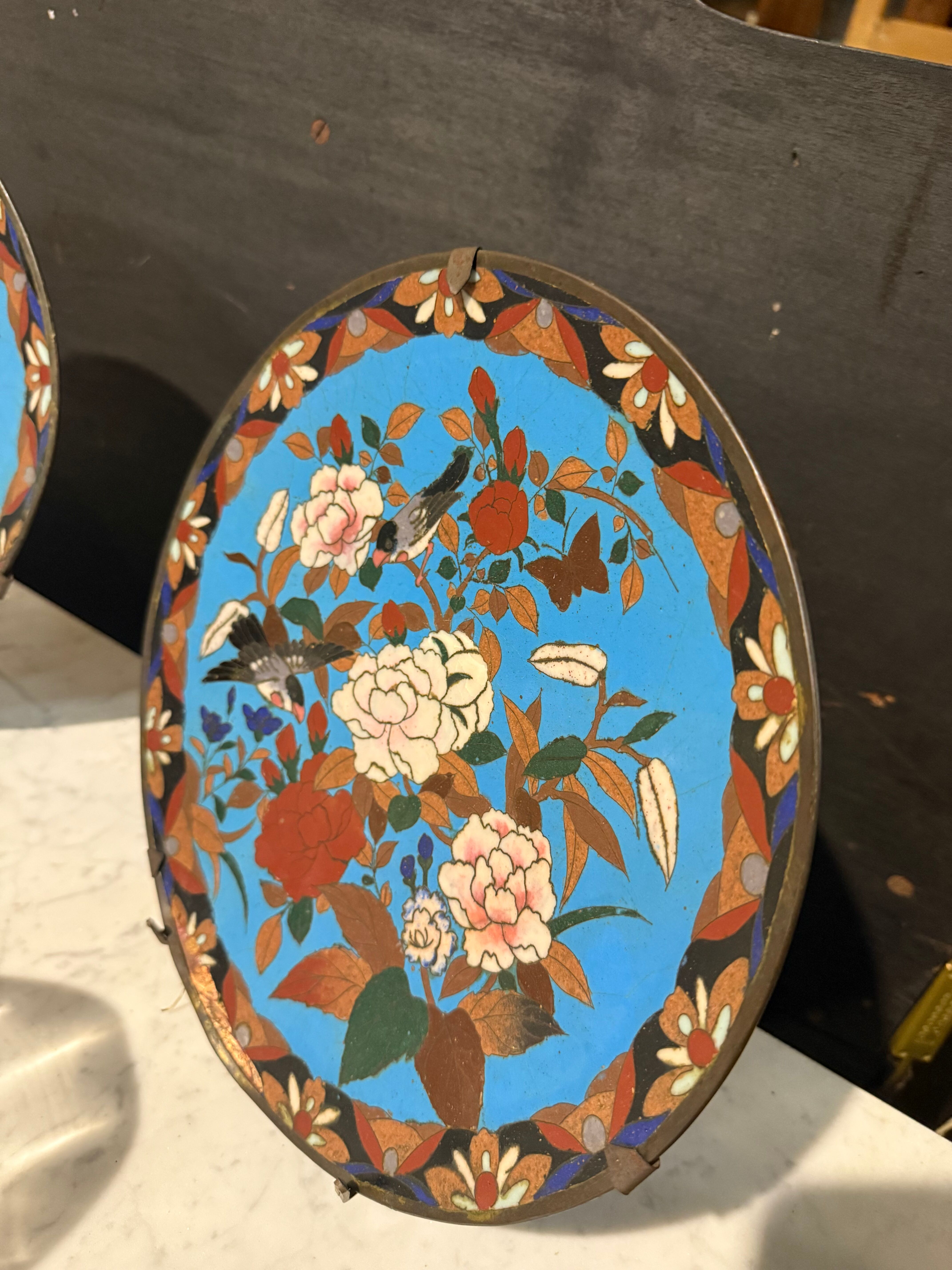 Partitioned plate