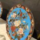 Partitioned plate