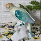Exotic birds