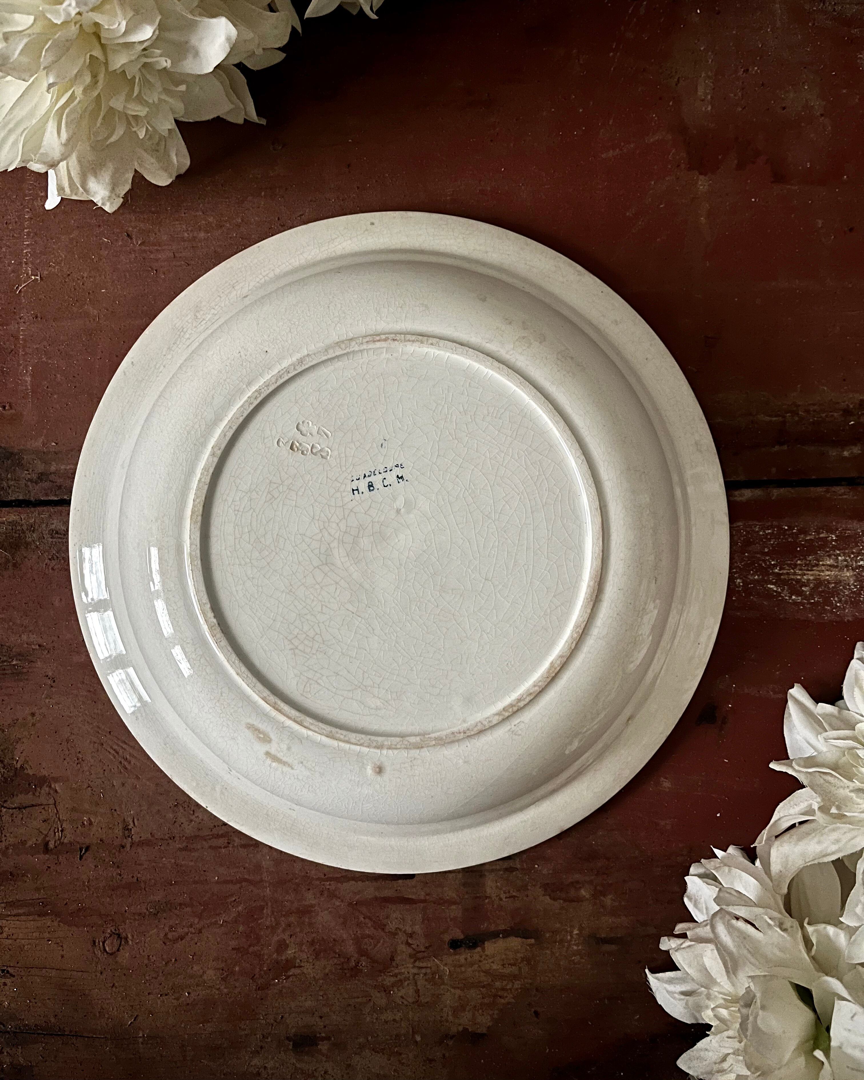 Shallow round plate from Saint Amand ironstone.