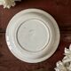Shallow round plate from Saint Amand ironstone.