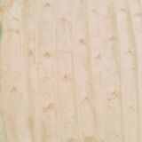 Rare and exquisite oval asparagus dish in Barbotine earthenware (majolica).