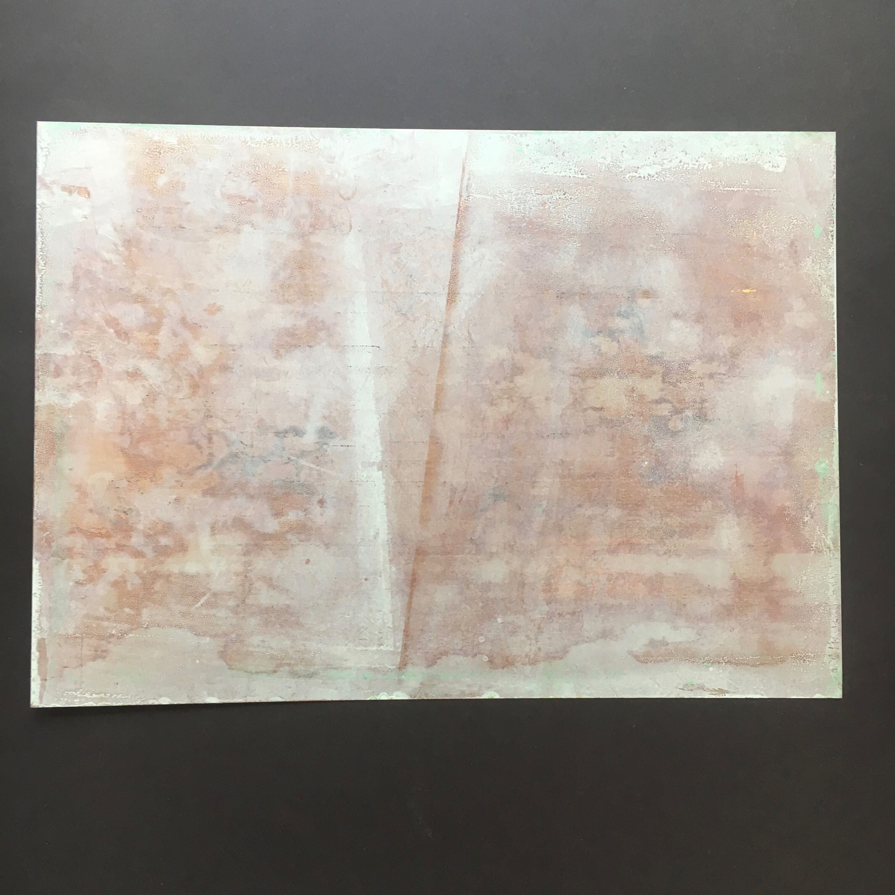 Former plate prevention plant sovietic cccp 3