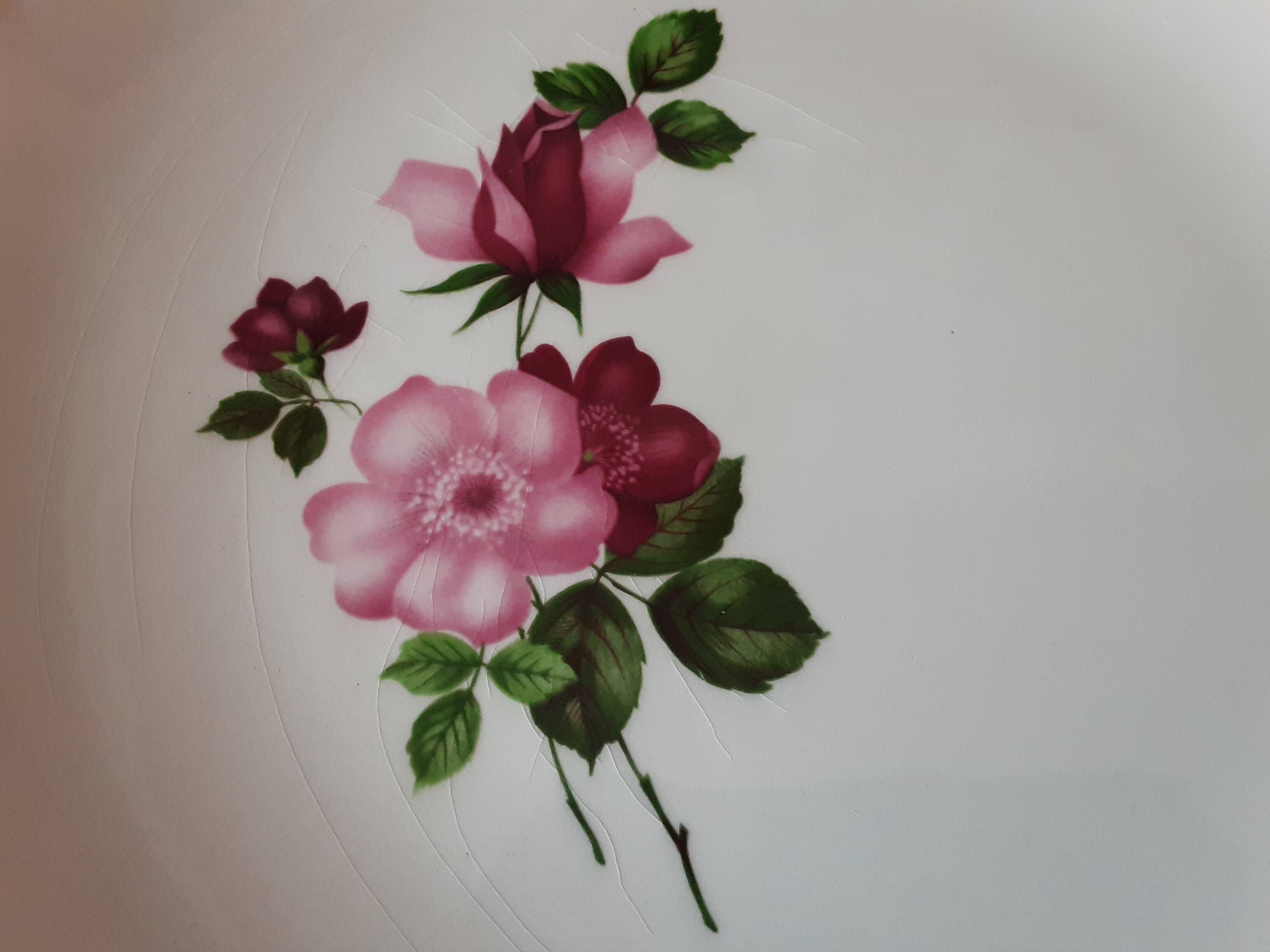 Gien semi-hollow dish