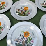 Set of 6 flat porcelain plates Winterling Bavaria