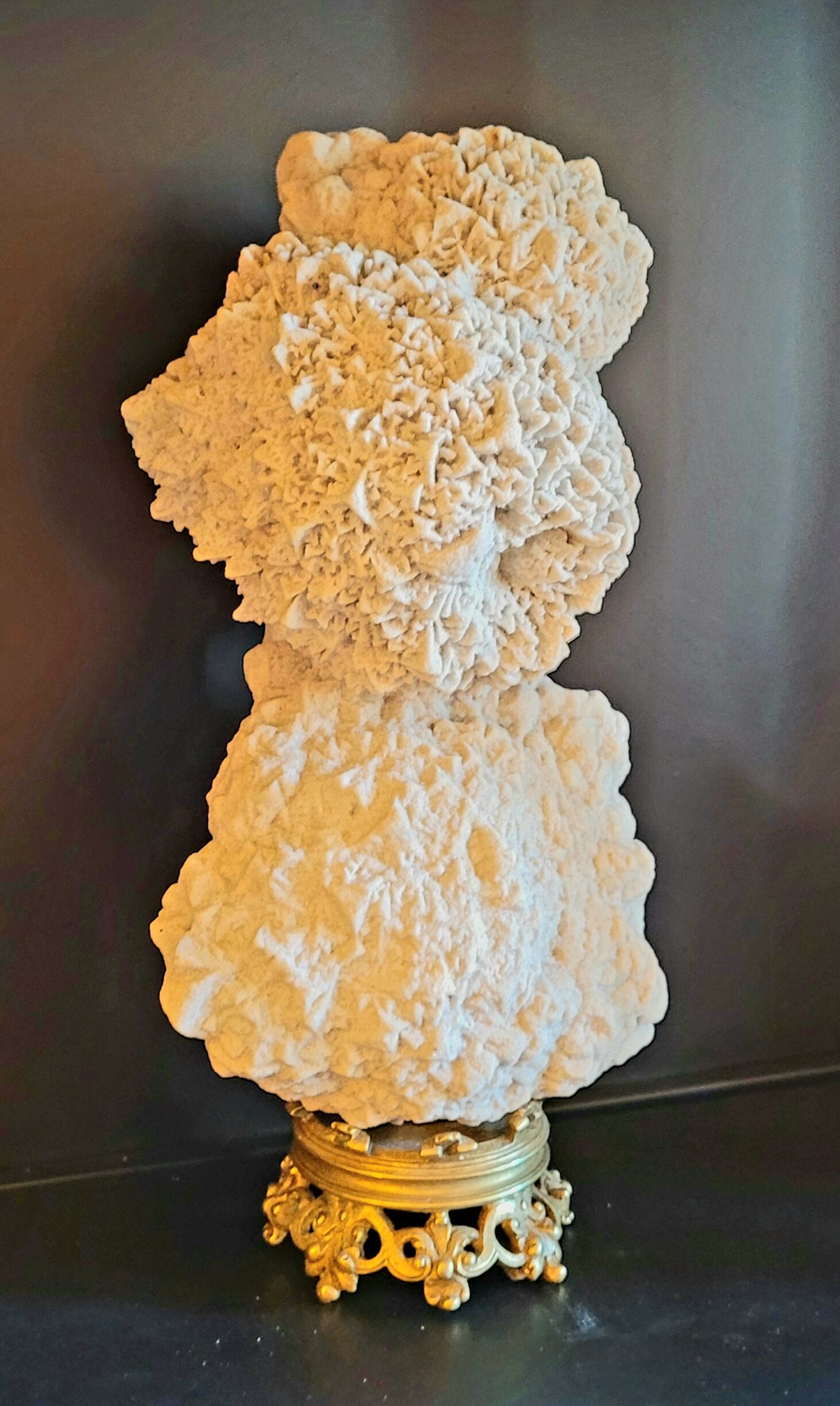 Cabinet of curiosities Naturalia and Minerals Gogotte de Fontainebleau