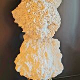 Cabinet of curiosities Naturalia and Minerals Gogotte de Fontainebleau