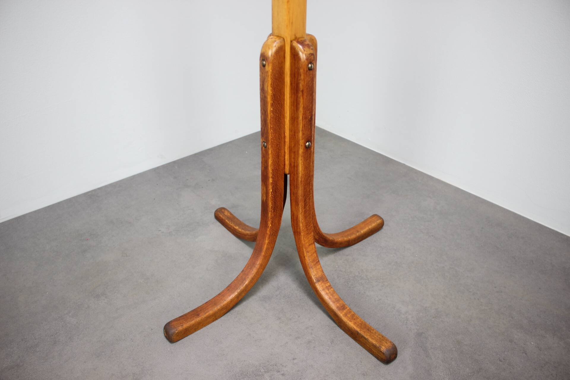 Vintage coat rack in the shape of a parrot in Bentwood - Thonet style - Early 20th century