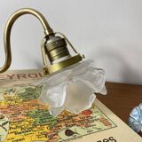 Swan neck wall light in brass with rose petal glass shade.