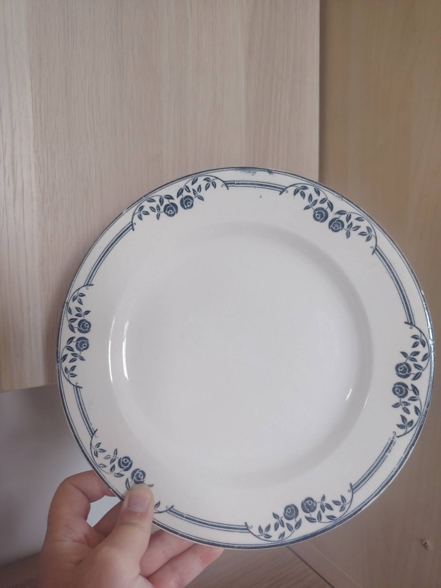 Flat plates ironstone Saussure
