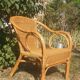Rattan armchair