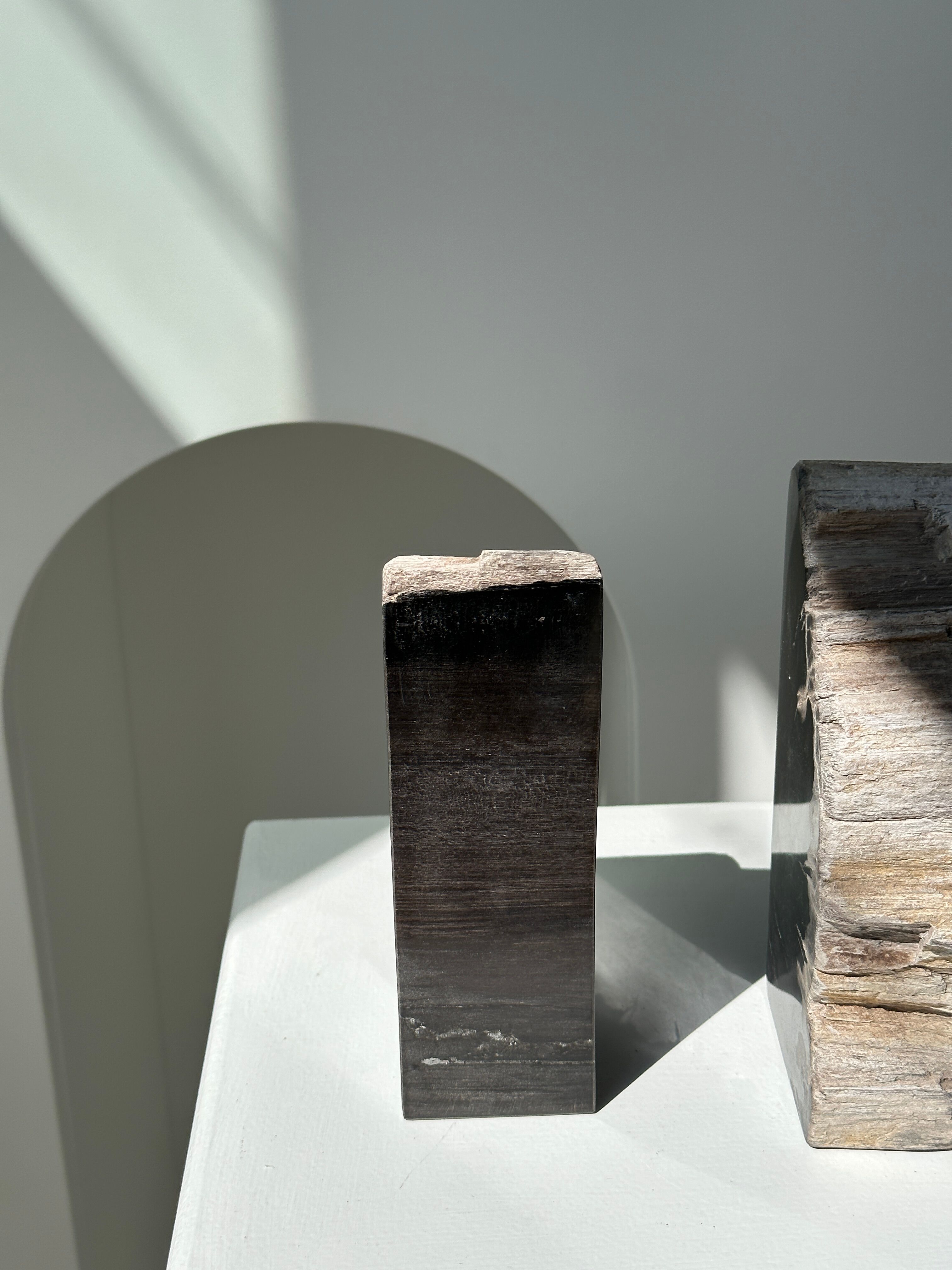 Black petrified wood bookend H17 L17 P6