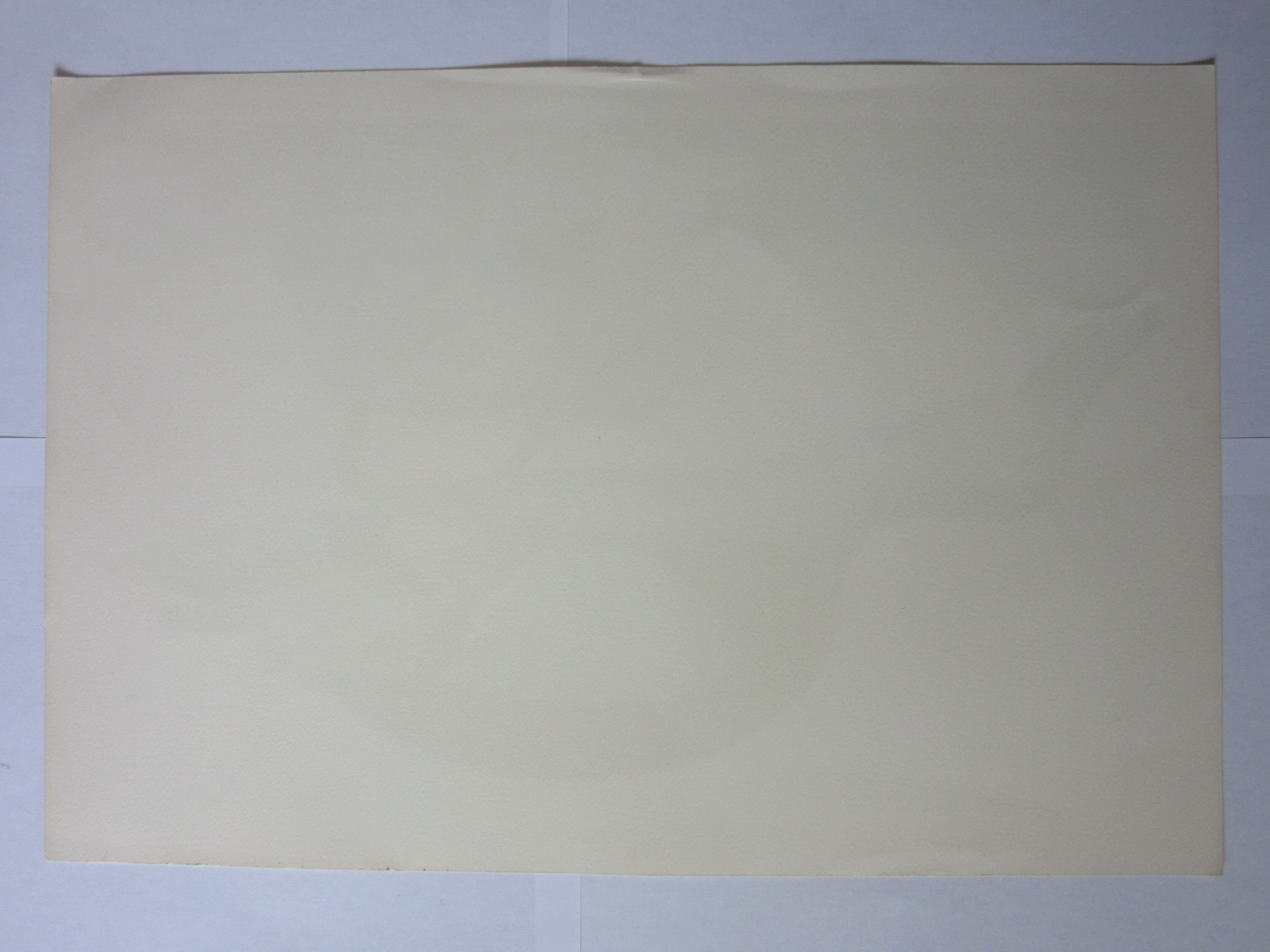 Engraving bird, brown teal, repro catesby