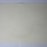 Engraving bird, brown teal, repro catesby