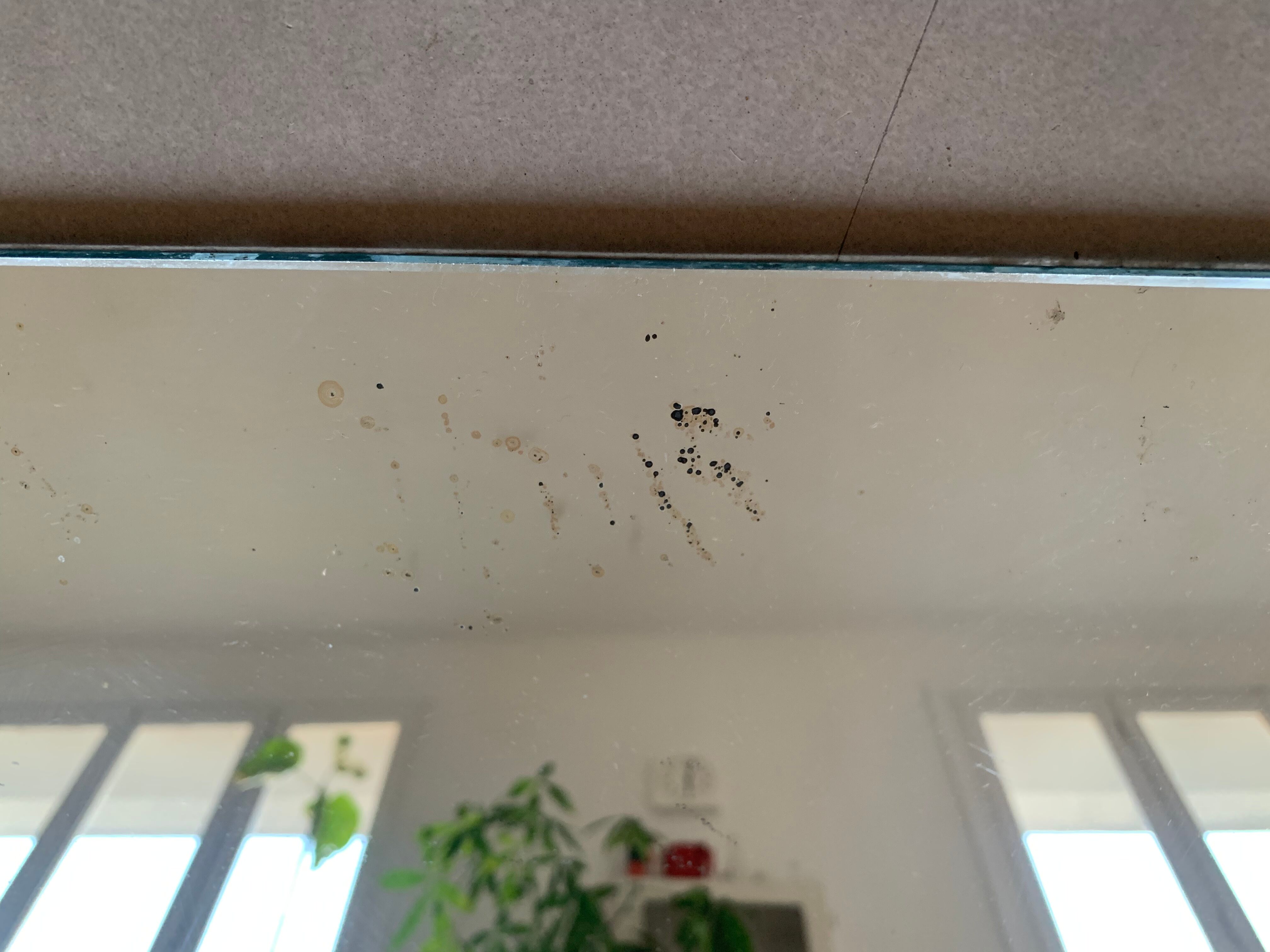 Antique mirror stitched 60x90cm