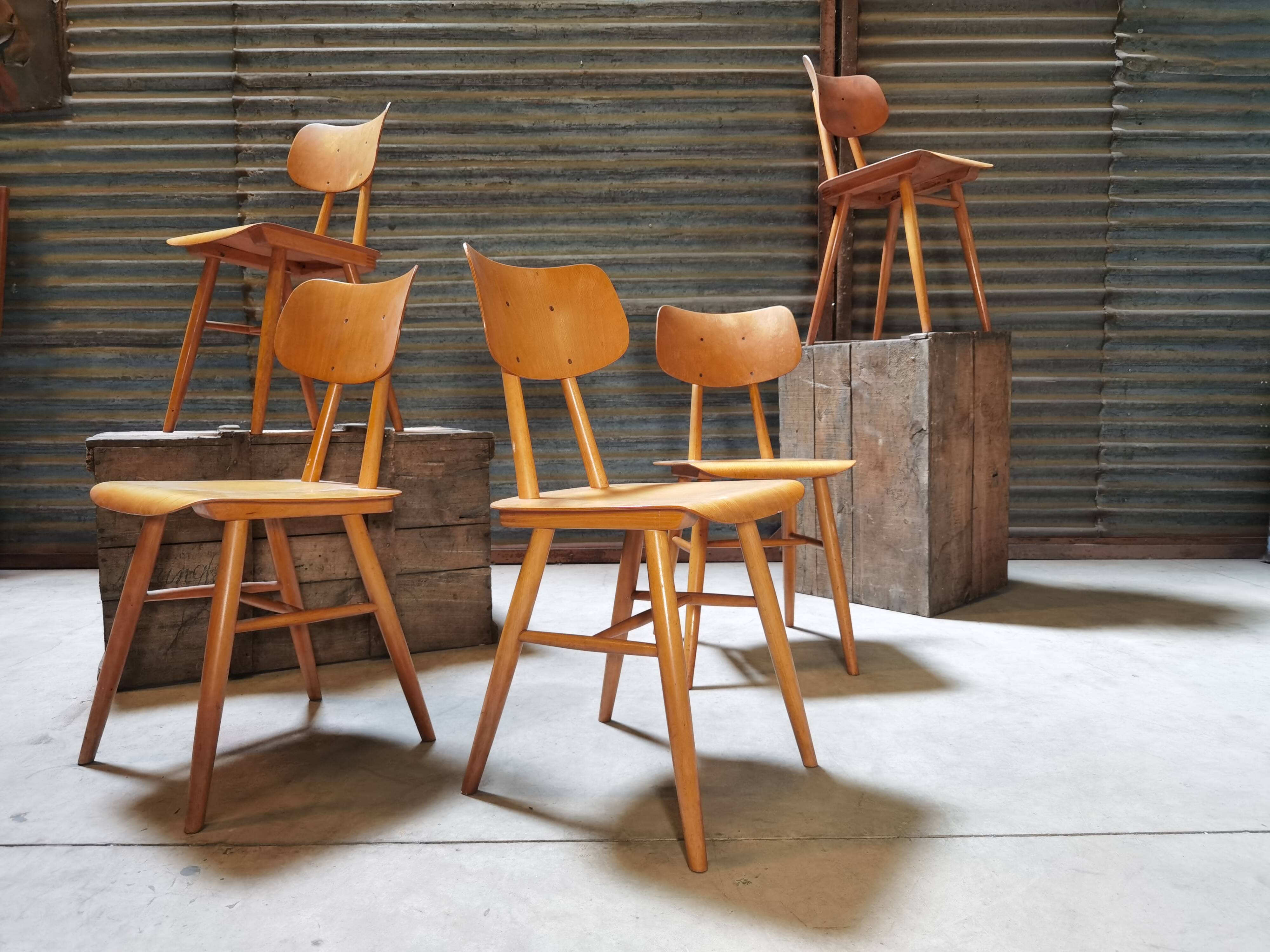 Set of 5 all-wood chairs published by Ton 1960