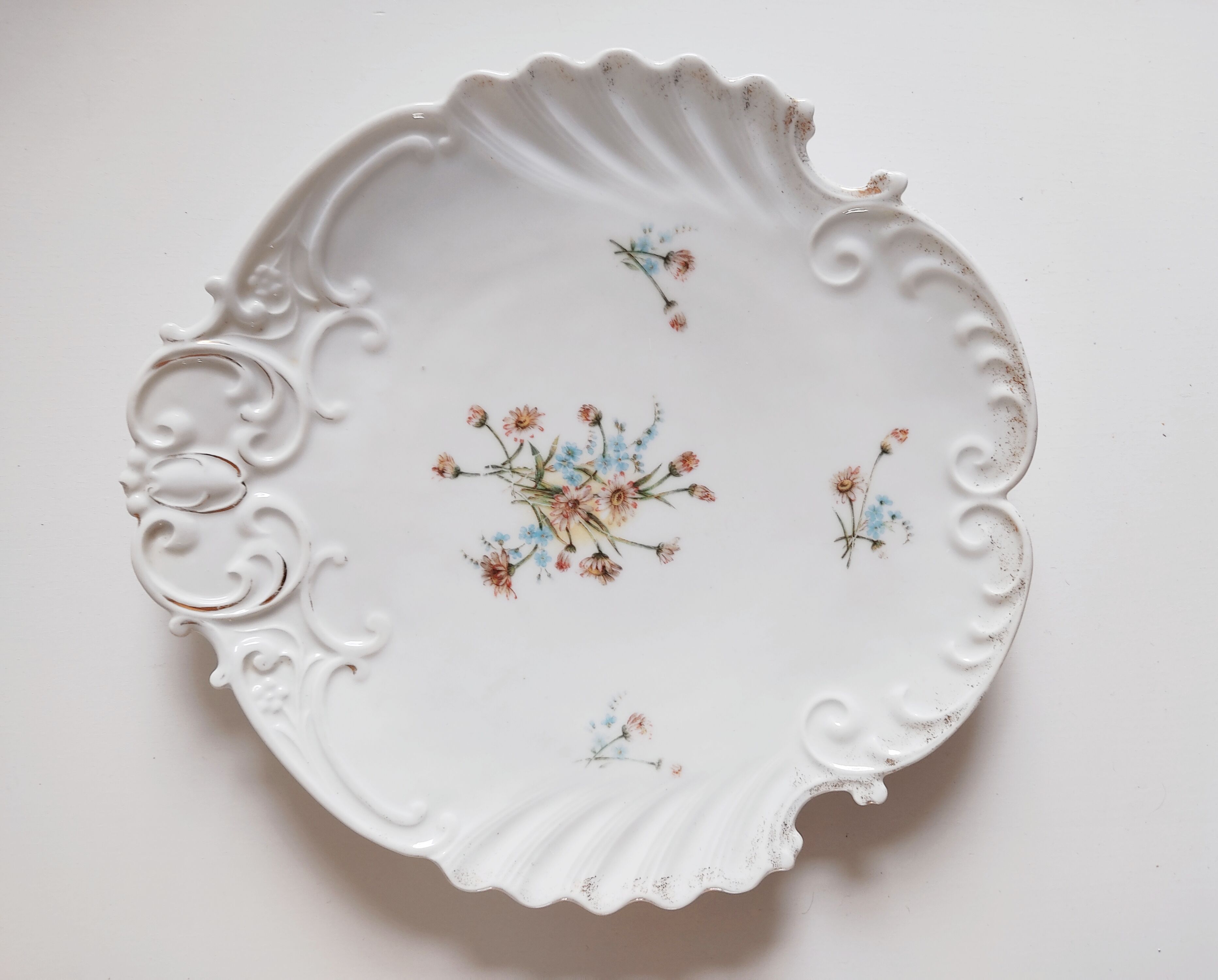 Porcelain shell-shaped dish