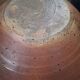 Eric Astoul planter