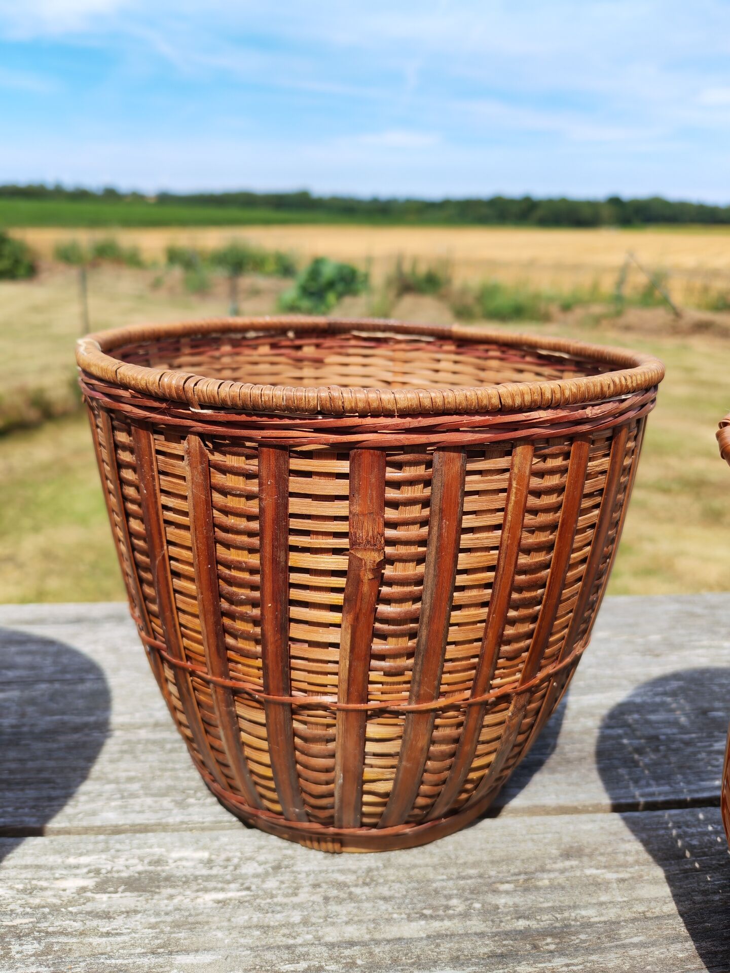 Lot de 4 cache pots en rotin vintage 