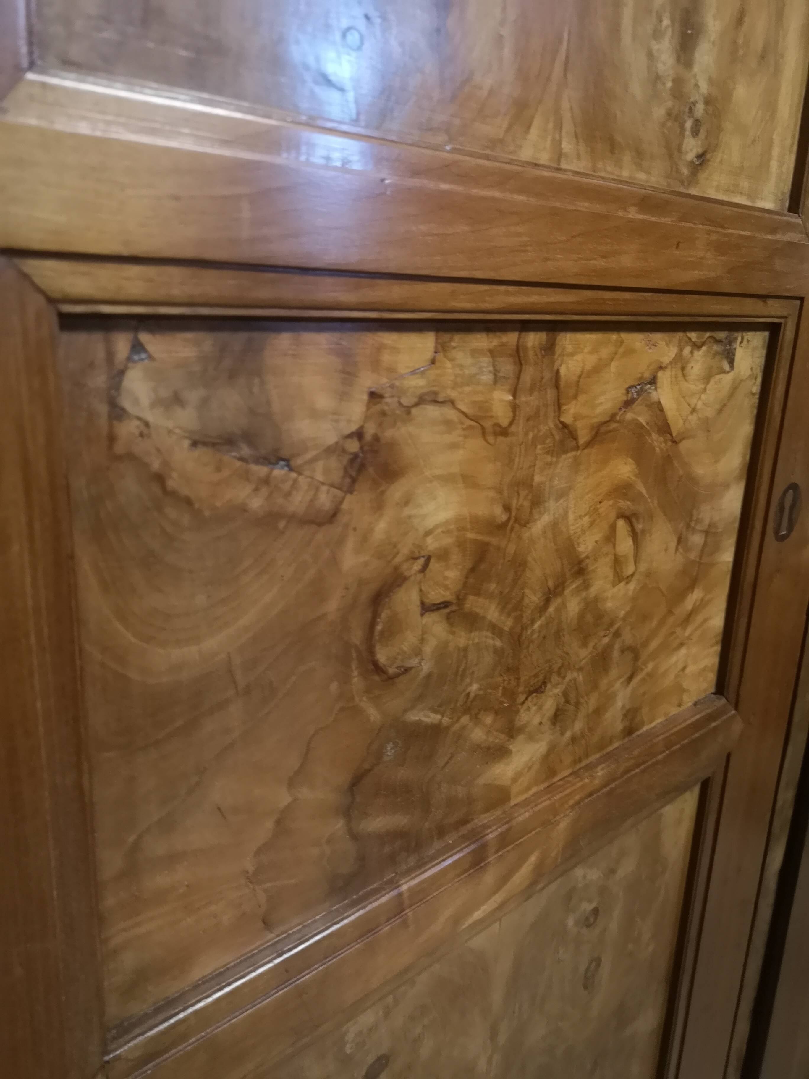 Burl veneer wardrobe
