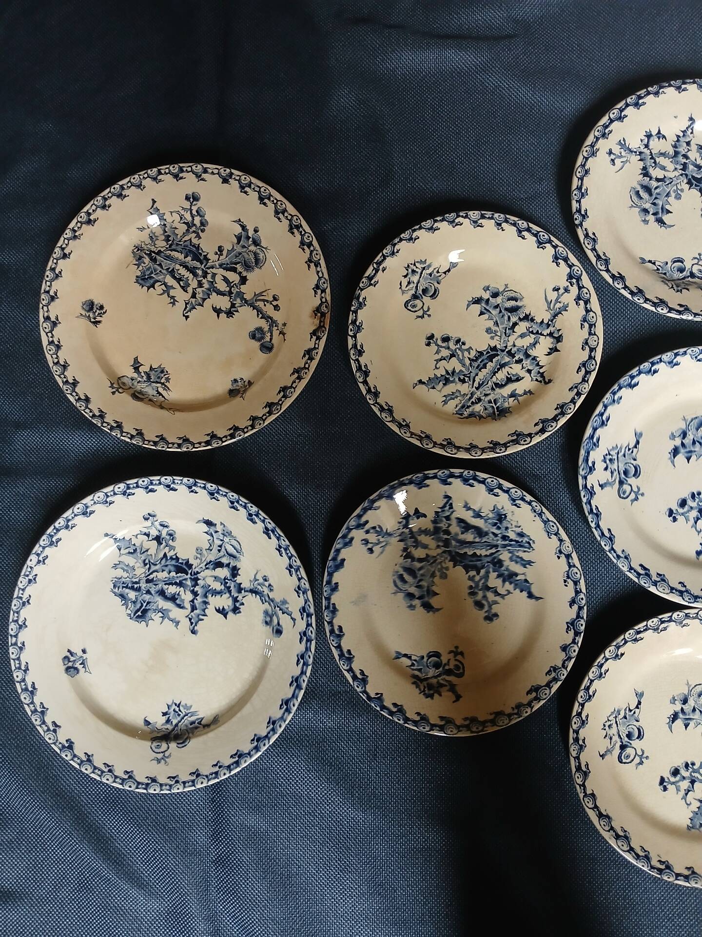 14 dinner plates + 2 "Chardons" dishes from Gien