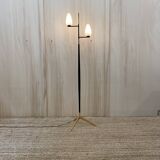 Lunel House Floor Lamp