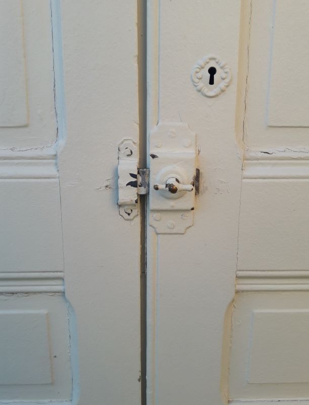 Pair of doors 218,5x92,5cm old closet