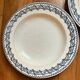 2 blue Salins Iron Earth plates