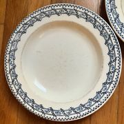2 blue Salins Iron Earth plates