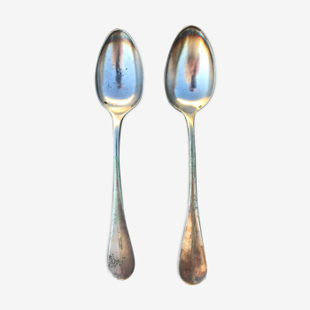 Set of 2 spoons
