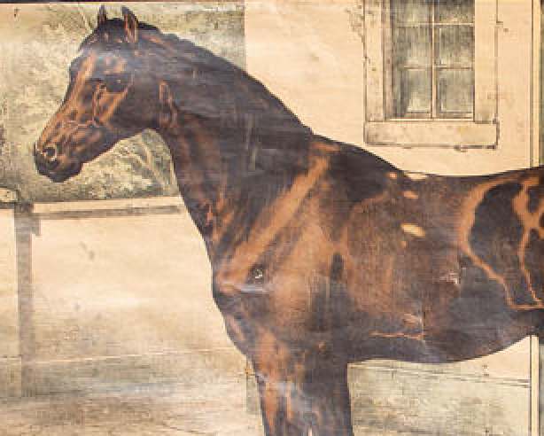 Poster "horse" lithograph Karl Jansky Böhmen 1897