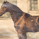 Poster "horse" lithograph Karl Jansky Böhmen 1897