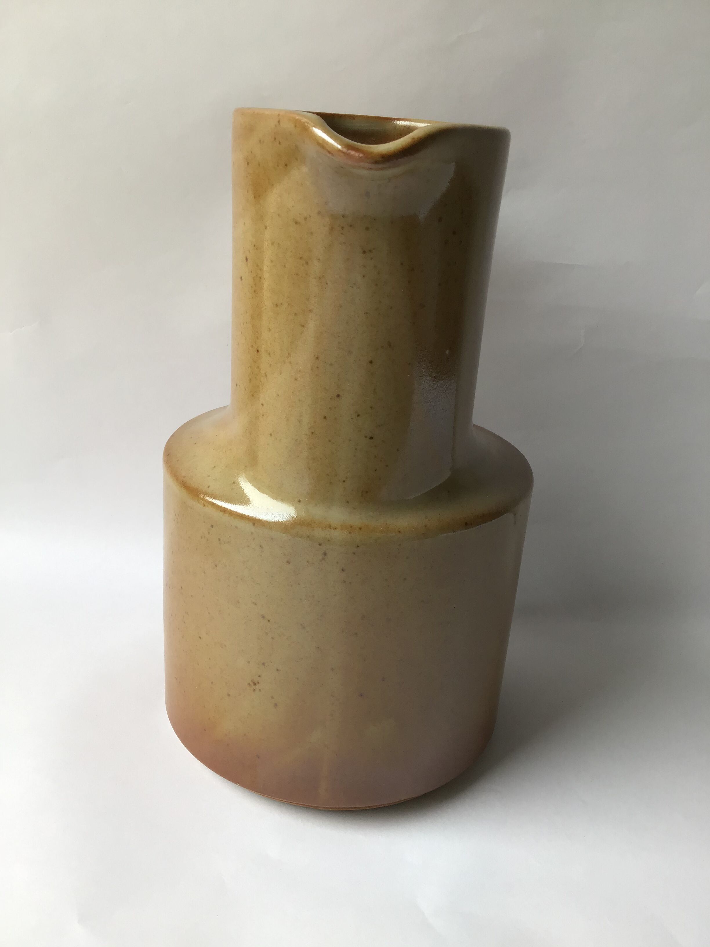 Pitcher sandstone of Brenne 1l