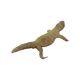 Big Stuffed Spiny-Tailed Dragon Lizard Taxidermy Africa Middle East Agamidae