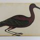 Pair of reproductions of the Codex Pomar of Natural History, Valencia, 1990