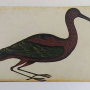 Paire de reproductions du Codex Pomar d'Histoire Naturelle, Valence, 1990